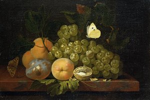 Fruktstudie